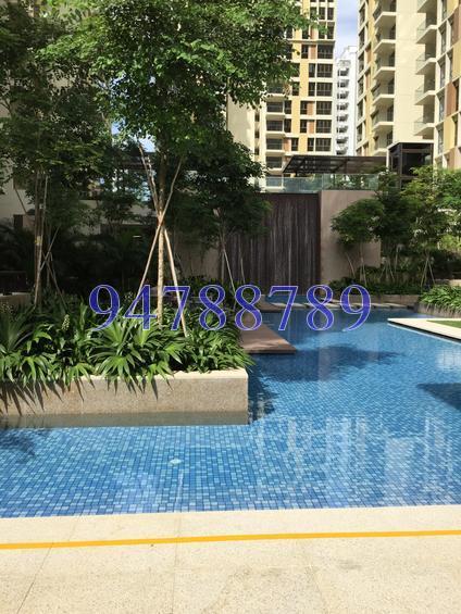 Terrasse (D19), Condominium #151881322